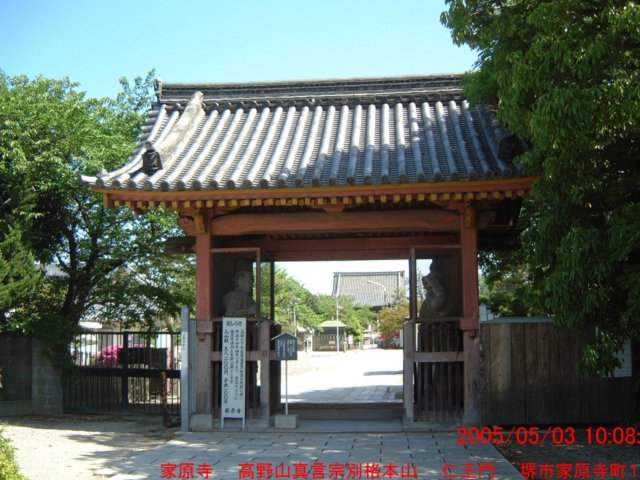 dscf00242.jpg