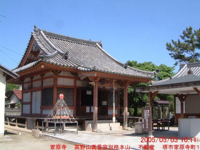 dscf00262.jpg
