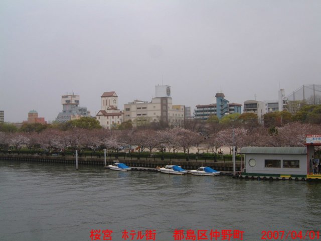 dscf00263.jpg