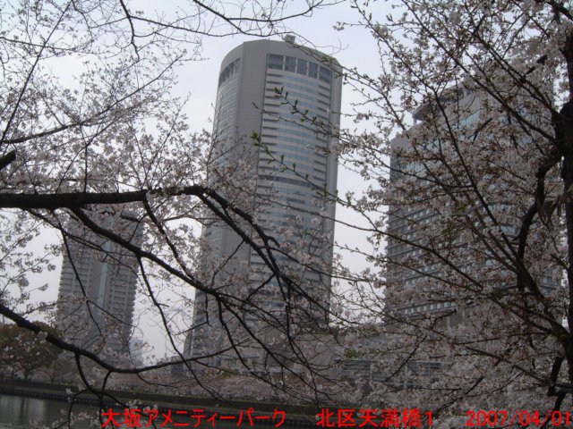 dscf00295.jpg