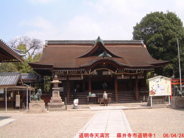 dscf0033.jpg