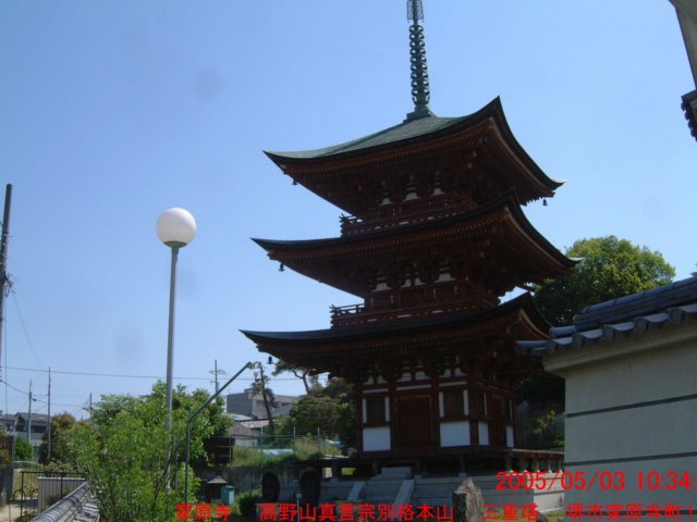 dscf0038.jpg