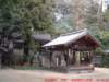dscf00435_small.jpg