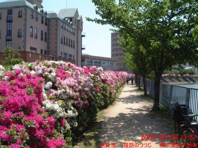 dscf0046.jpg