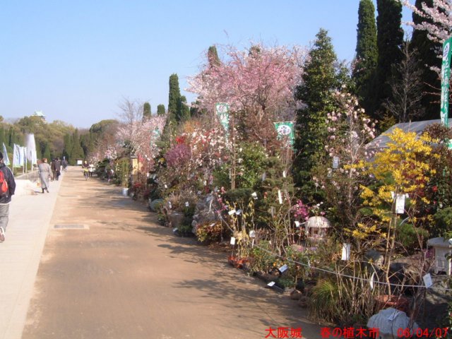 dscf00462.jpg