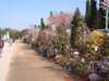 dscf00462_small.jpg