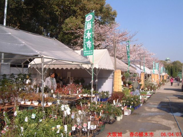 dscf00474.jpg