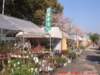 dscf00474_small.jpg