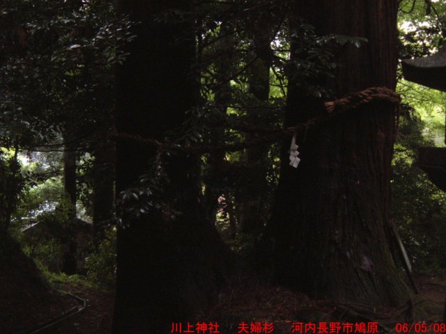 dscf00516.jpg
