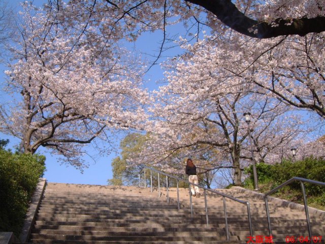 dscf00533.jpg