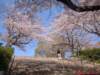 dscf00533_small.jpg