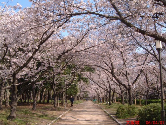 dscf00542.jpg