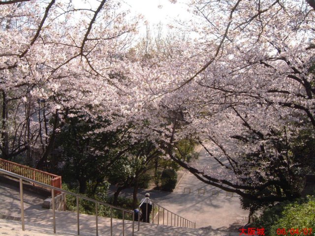dscf00553.jpg