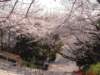 dscf00553_small.jpg