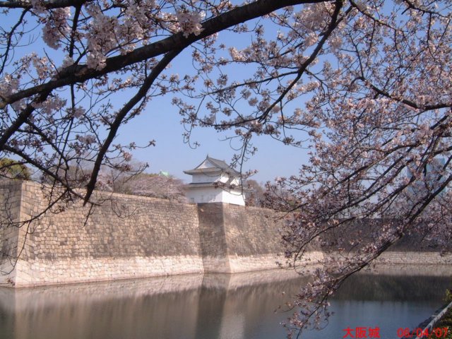 dscf00582.jpg