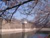 dscf00582_small.jpg