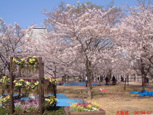 dscf0060.jpg