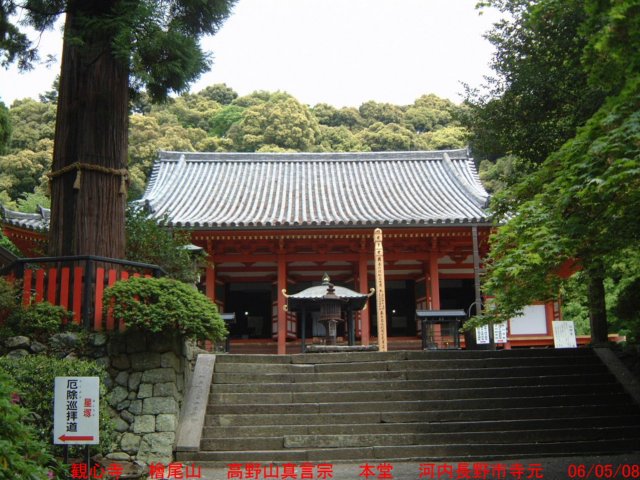 dscf00602.jpg