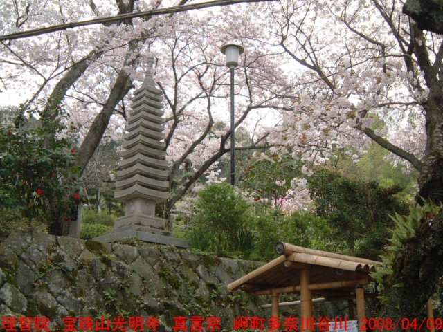 dscf00632.jpg