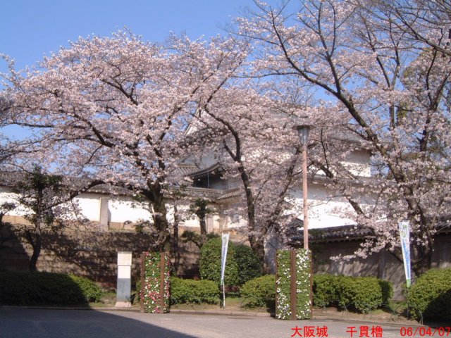 dscf00664.jpg
