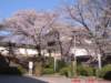 dscf00664_small.jpg