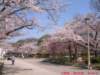 dscf00682_small.jpg