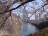dscf00713_small.jpg