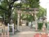 dscf0074_small.jpg
