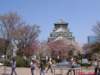 dscf00763_small.jpg