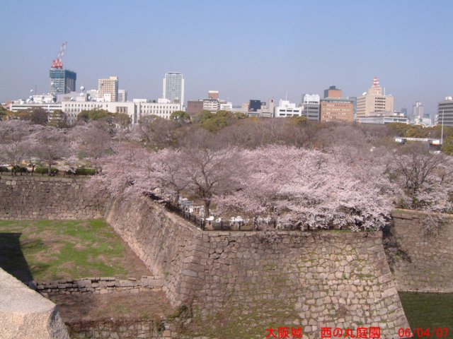 dscf00783.jpg