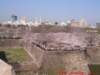 dscf00783_small.jpg