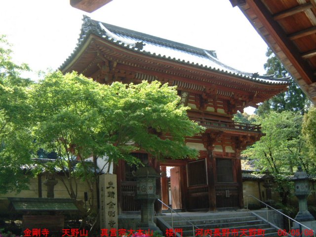 dscf00802.jpg