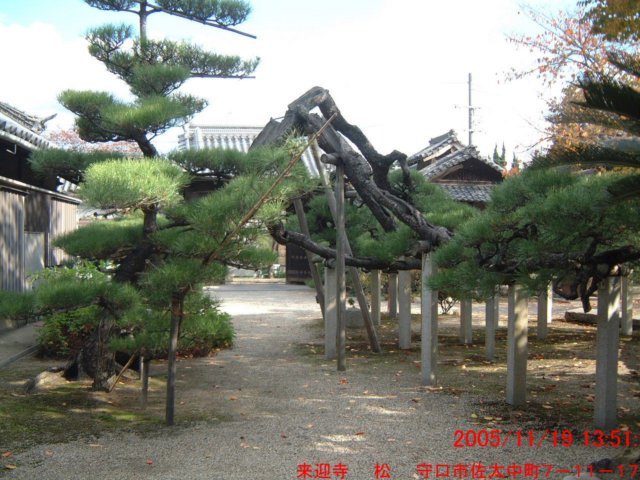 dscf0088.jpg