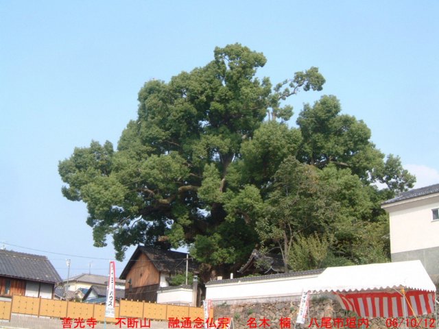 dscf00935.jpg