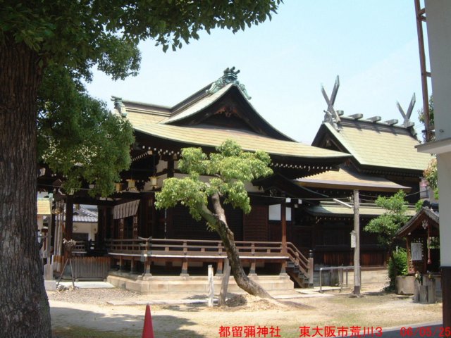 dscf01362.jpg