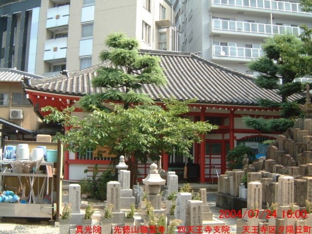 dscf0164.jpg
