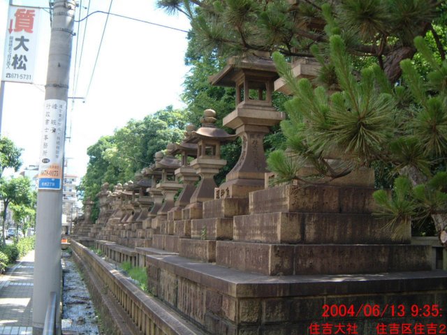 dscf0170.jpg