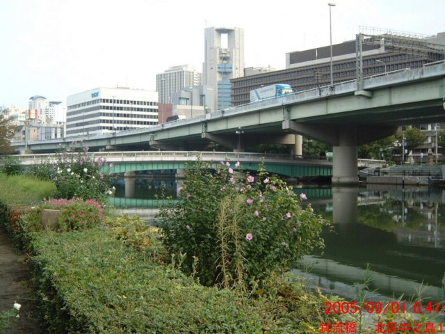 dscf0206.jpg