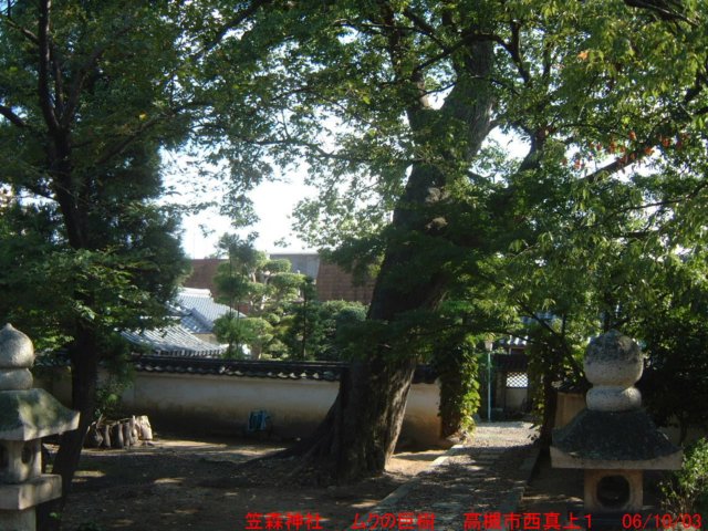 dscf02093.jpg
