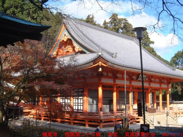 dscf02352.jpg