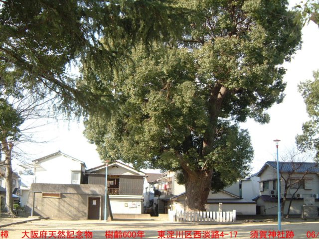 dscf02383.jpg