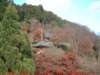 dscf02386_small.jpg