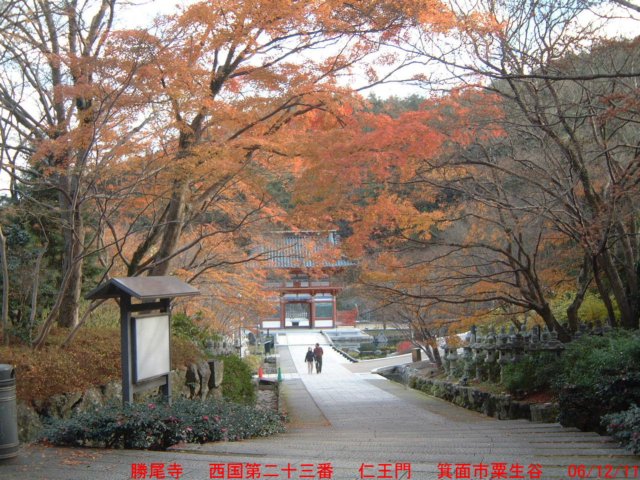 dscf02444.jpg