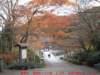 dscf02444_small.jpg