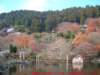 dscf02453_small.jpg