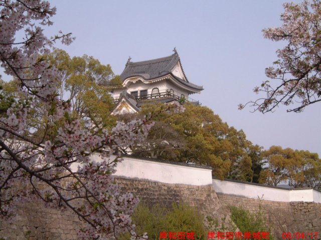 dscf0260.jpg