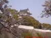 dscf0260_small.jpg