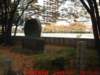 dscf02816_small.jpg