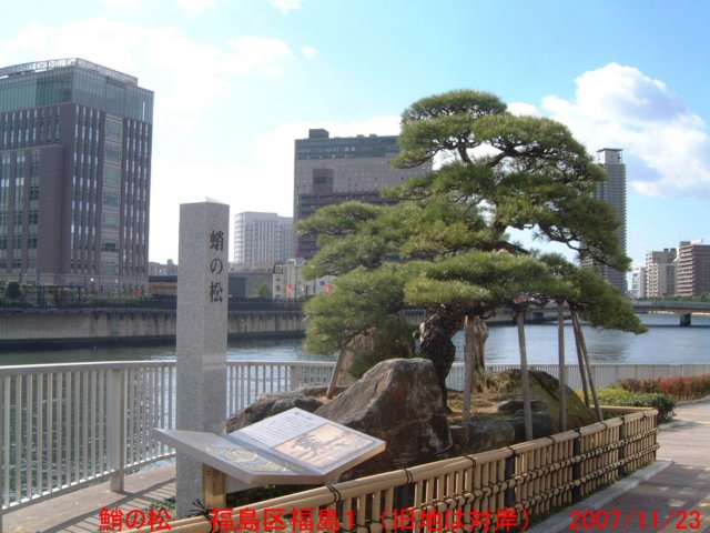 dscf02874.jpg