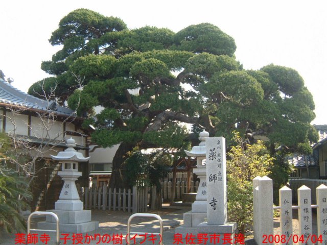 dscf03092.jpg